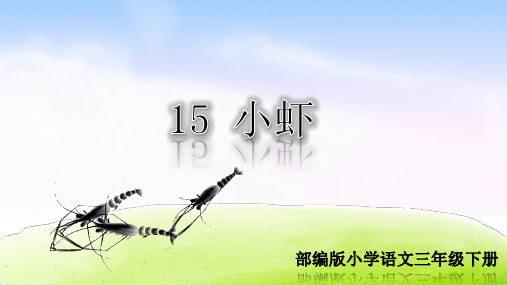 部编人教版三年级语文下册第15课《小虾》优秀PPT课件