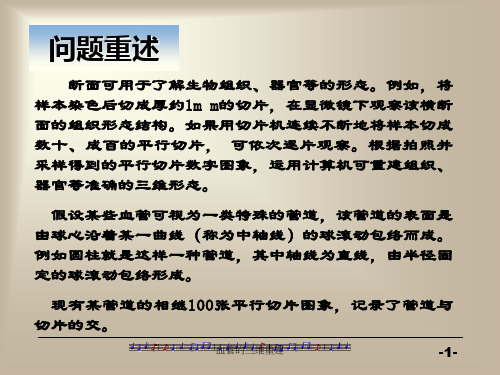 血管的三维重建课件