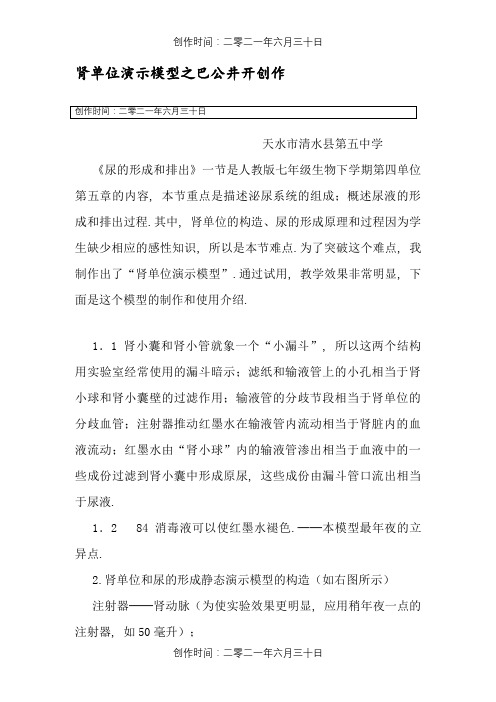 肾单位演示模型