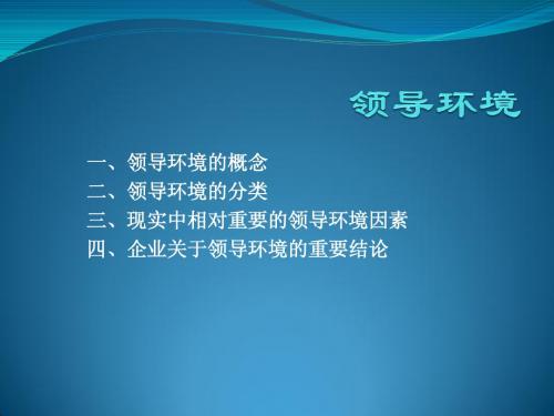 领导环境