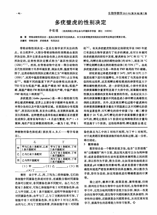 多疣壁虎的性别决定