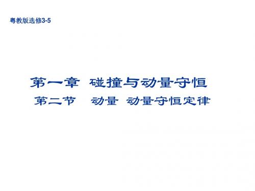 第二节(1)  动量 动量定理