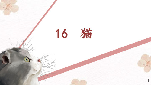 第16课《猫》课件(共26张PPT)2023—2024学年统编版语文七年级上册