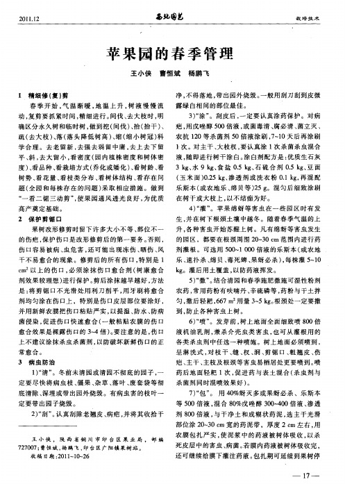 苹果园的春季管理