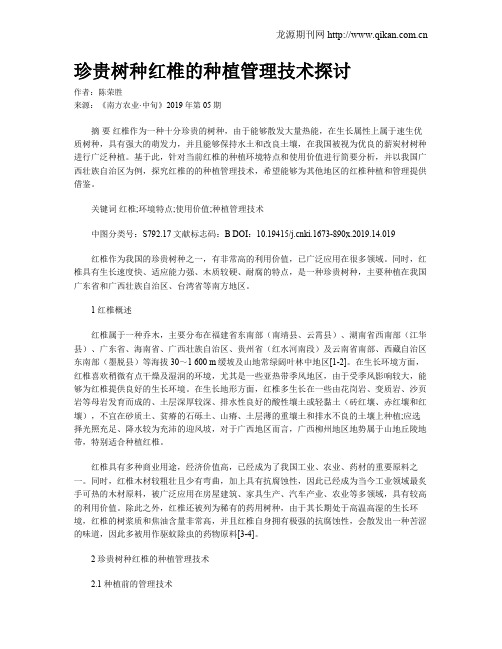 珍贵树种红椎的种植管理技术探讨