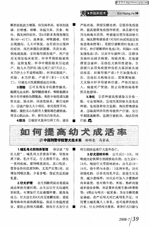 如何提高幼犬成活率