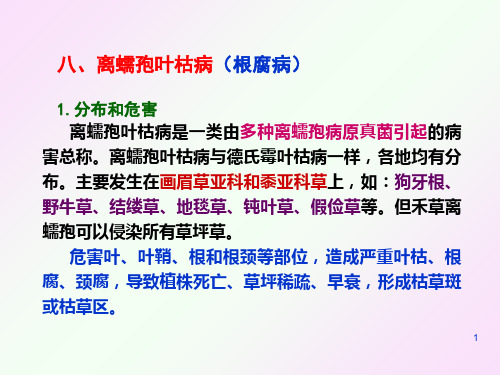 (推荐)《草坪有害生物防治》PPT课件