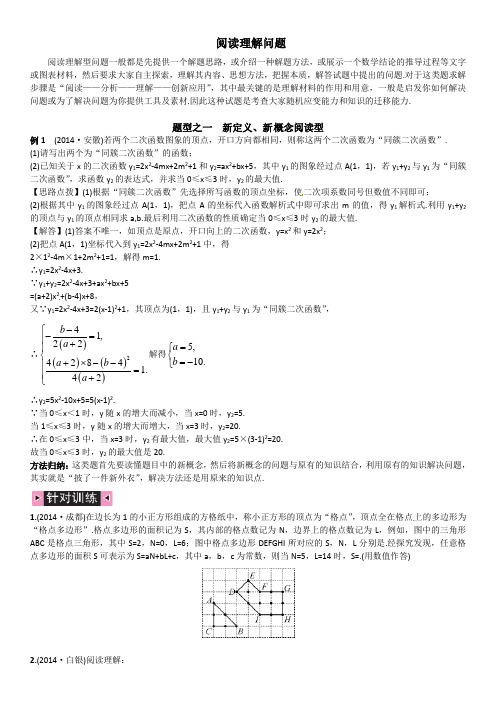 《火线100天》2015中考数学复习专题复习阅读理解问题