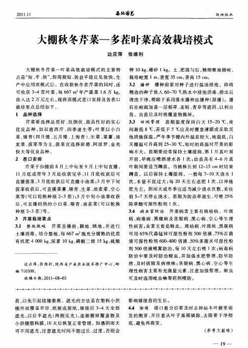 大棚秋冬芹菜——多茬叶菜高效栽培模式
