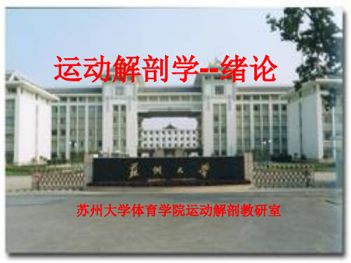 人体运动的保证体系