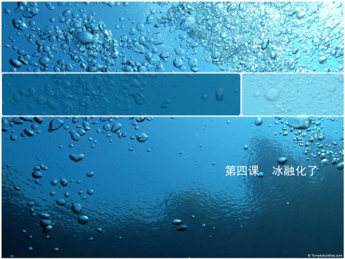 三年级上册科学课件 冰融化了教科版 (共9页)PPT