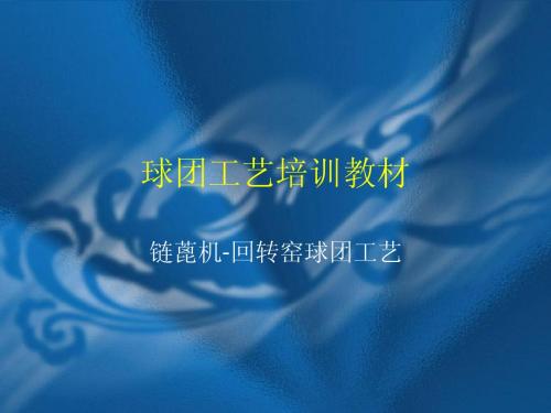 球团工艺培训
