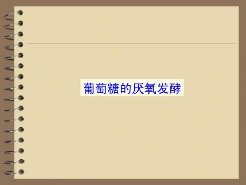 微生物PPT