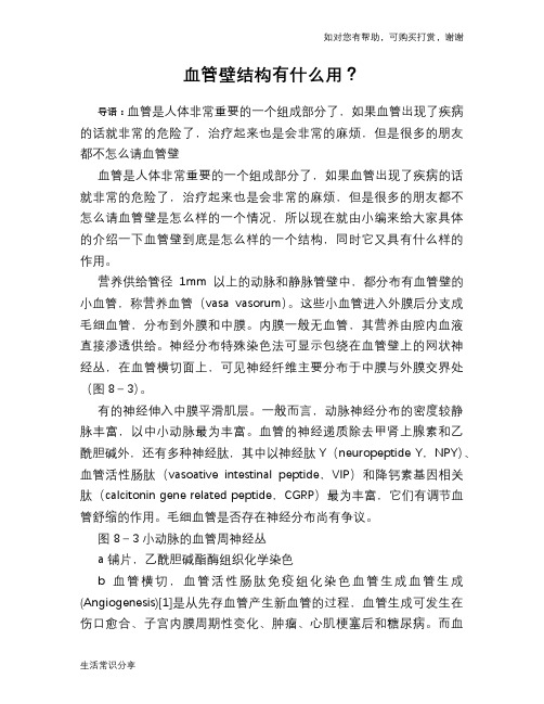 血管壁结构有什么用？