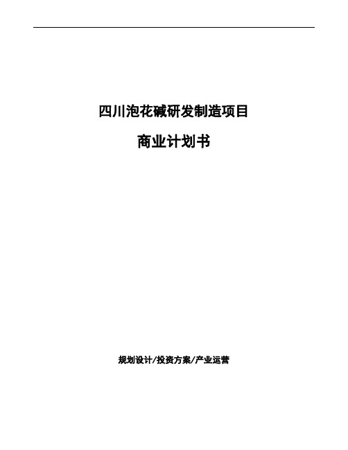 四川泡花碱研发制造项目商业计划书