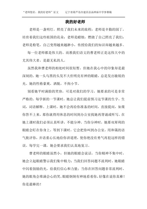 老师您好我的好老师征文参赛稿 汤中1
