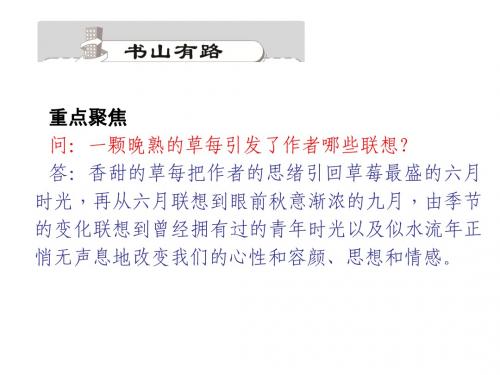 《草莓》课件