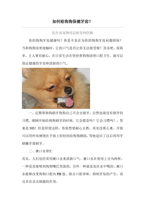 如何给狗狗保健牙齿？