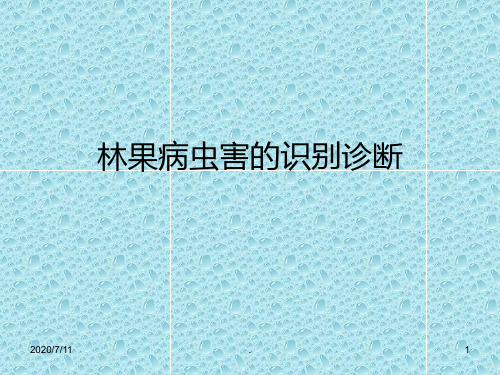 林果病虫害的防治ppt课件
