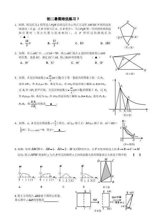 初二暑假数学培优训练3