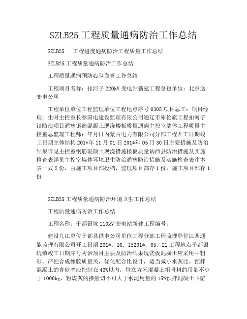 SZLB25工程质量通病防治工作总结