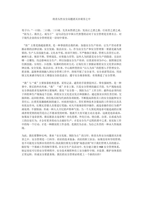 将苗头性安全问题消灭在萌芽之中