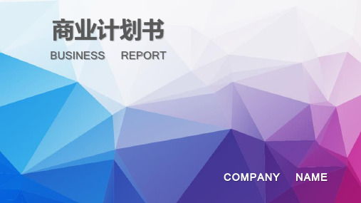 简洁科幻风商业项目计划书模板精编PPT