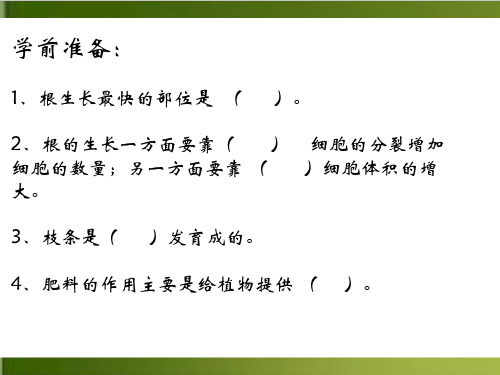 人教版初中生物七上3. 开花和结果 优秀PPT (33页)完整版(推荐)
