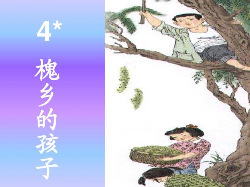 4.《槐乡的孩子》PPT课件