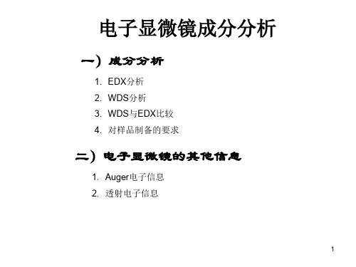 电子显微镜成分分析课件