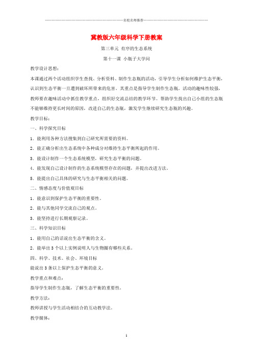小学六年级科学下册 小瓶子大学问2名师公开课优质教案 冀教版