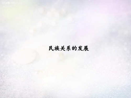中考历史一轮专题复习 第8讲 民族关系的发展课件
