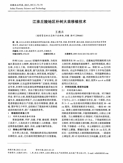 江淮丘陵地区朴树大苗移植技术