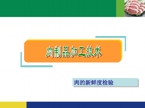 4肉的新鲜度的检验