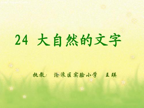 大自然的文字课件