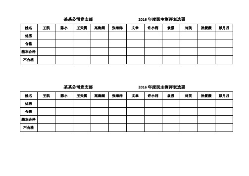 党支部 2016年度民主测评表及选票