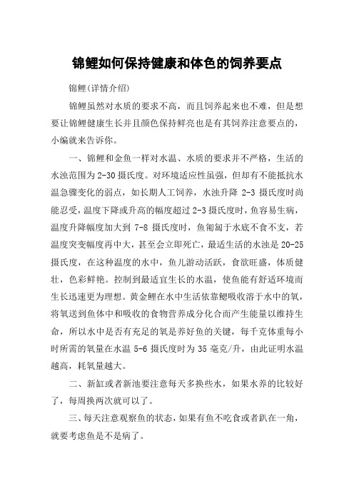 锦鲤如何保持健康和体色的饲养要点