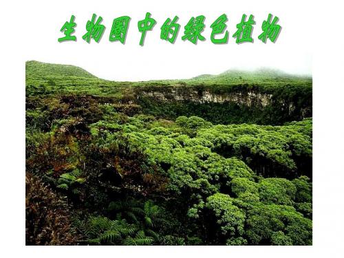 3-3   藻类植物