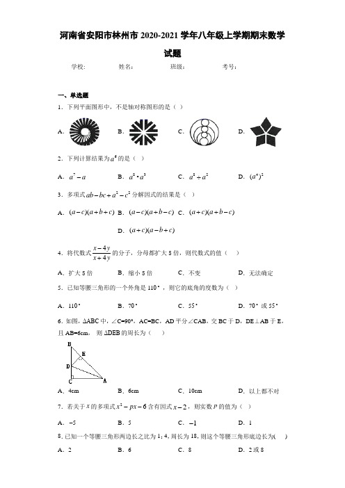河南省安阳市林州市八年级上学期期末数学试题