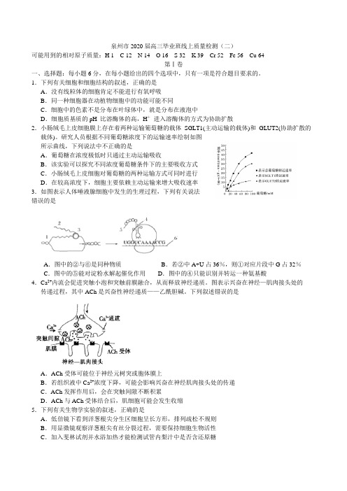 福建省泉州市2020届高三毕业班适应性线上测试理综生物考试试题 word含解析