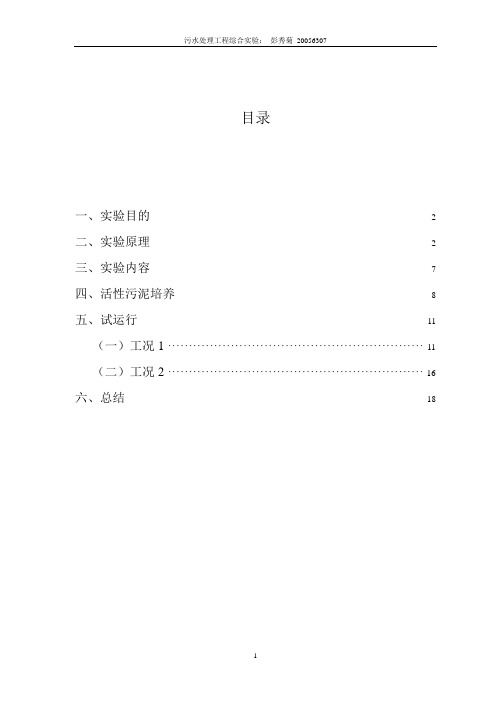 污水实验报告模板的电子稿