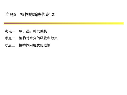 浙江省2018年中考科学系统复习精编课件：专题5 植物的新陈代谢(2) (共21张PPT)