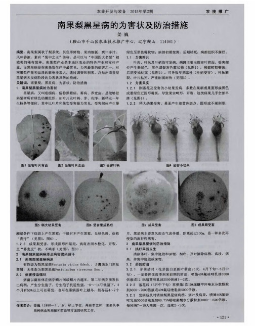 南果梨黑星病的为害状及防治措施