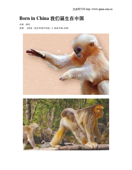 BorninChina我们诞生在中国