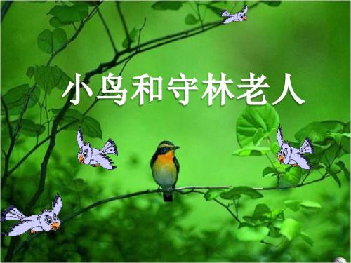 ```《小鸟和守林老人》教学课件