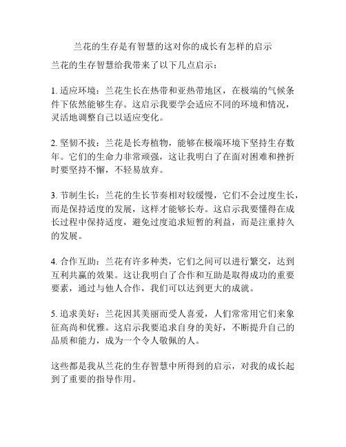 兰花的生存是有智慧的这对你的成长有怎样的启示