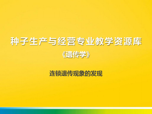 连锁遗传现象的发现完整版文档