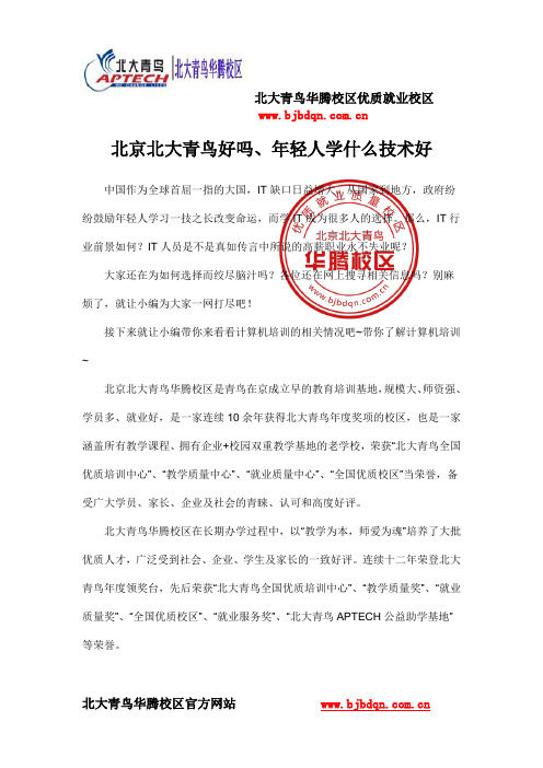 北京北大青鸟好吗、年轻人学什么技术好