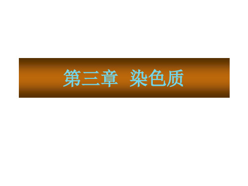 第3章 染色质