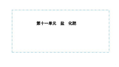 2020安徽中考化学复习备课课件第十一单元盐、化肥(共28张PPT)